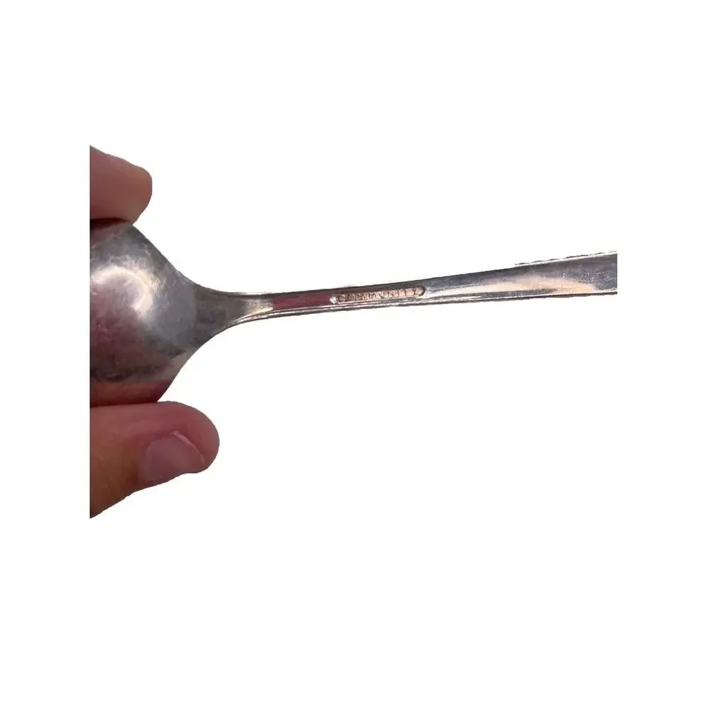 Vintage 1950’s Oneida Community Evening Star Silver Plate Sugar Spoon MCM JOH